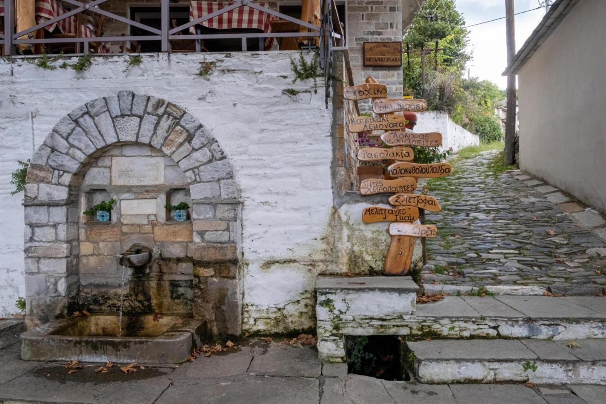 Archontiko Michael Pelion Aparthotel Vizíca Kültér fotó