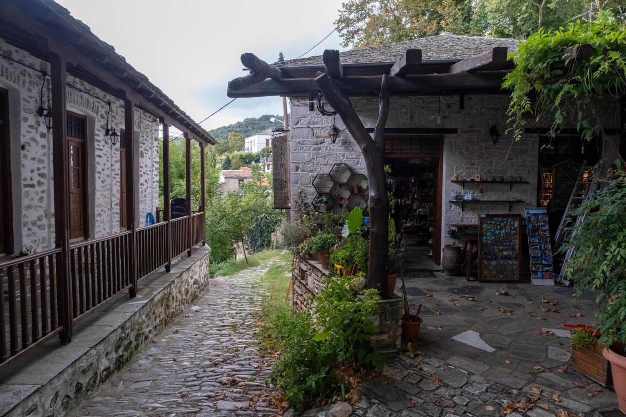 Archontiko Michael Pelion Aparthotel Vizíca Kültér fotó