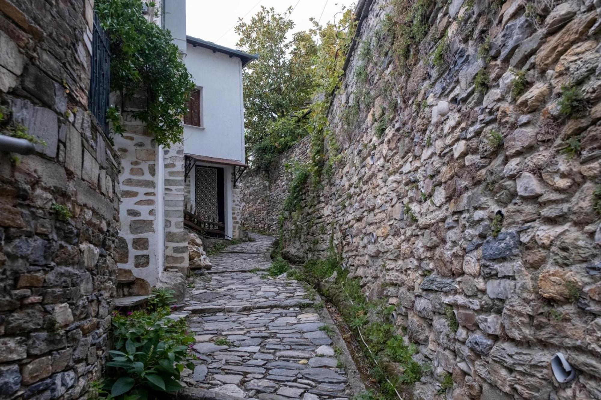 Archontiko Michael Pelion Aparthotel Vizíca Kültér fotó