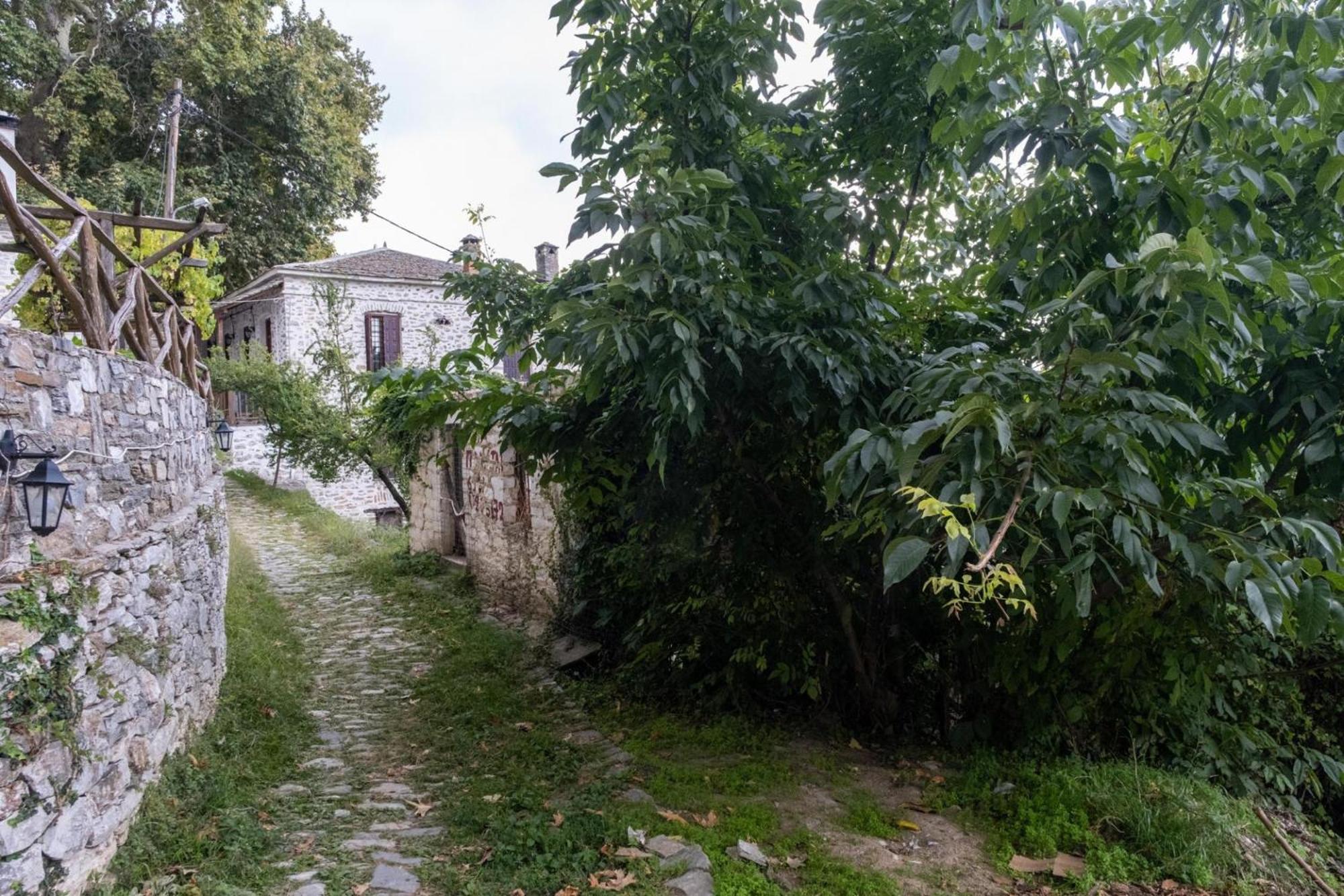 Archontiko Michael Pelion Aparthotel Vizíca Kültér fotó