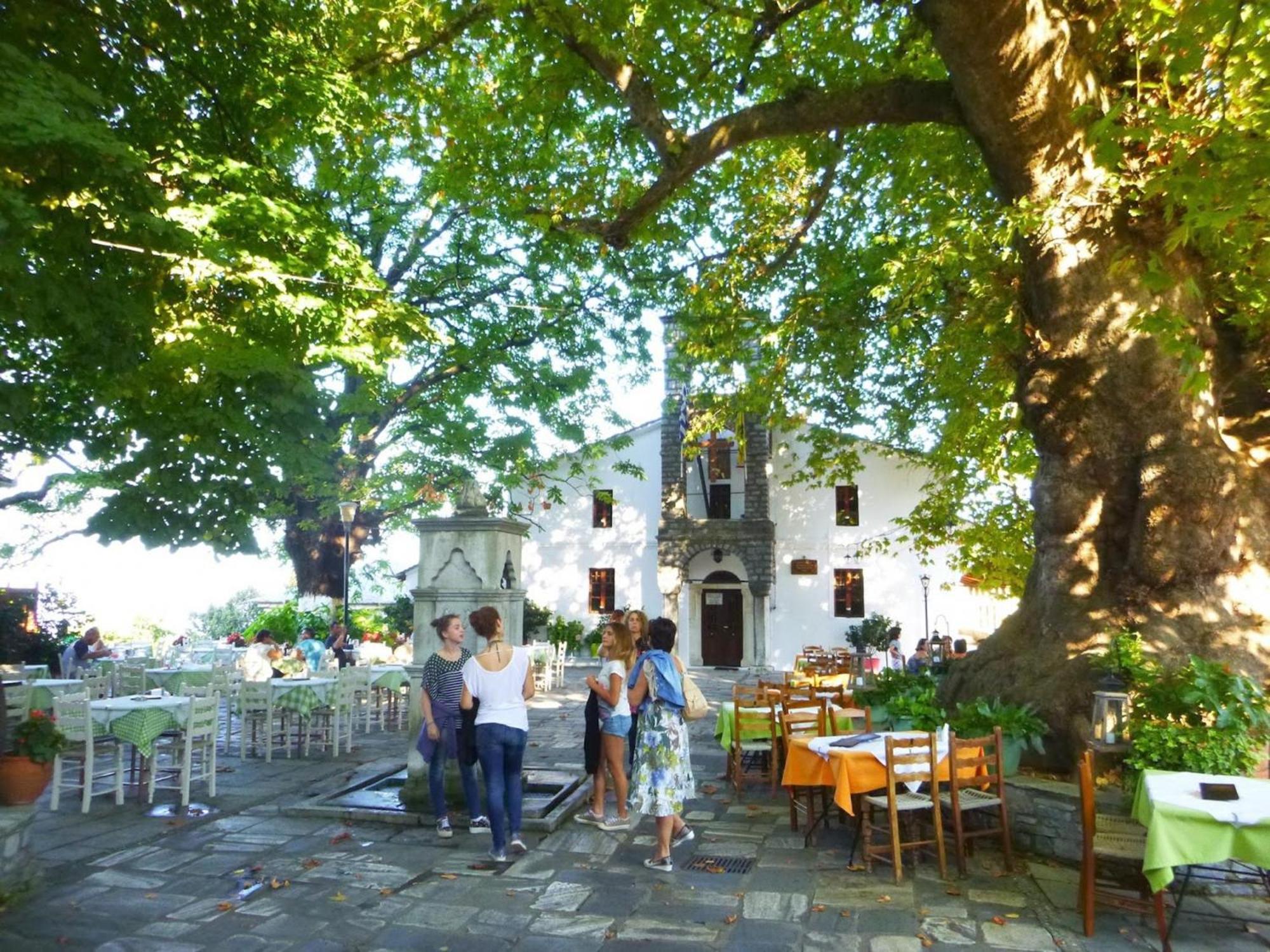 Archontiko Michael Pelion Aparthotel Vizíca Kültér fotó