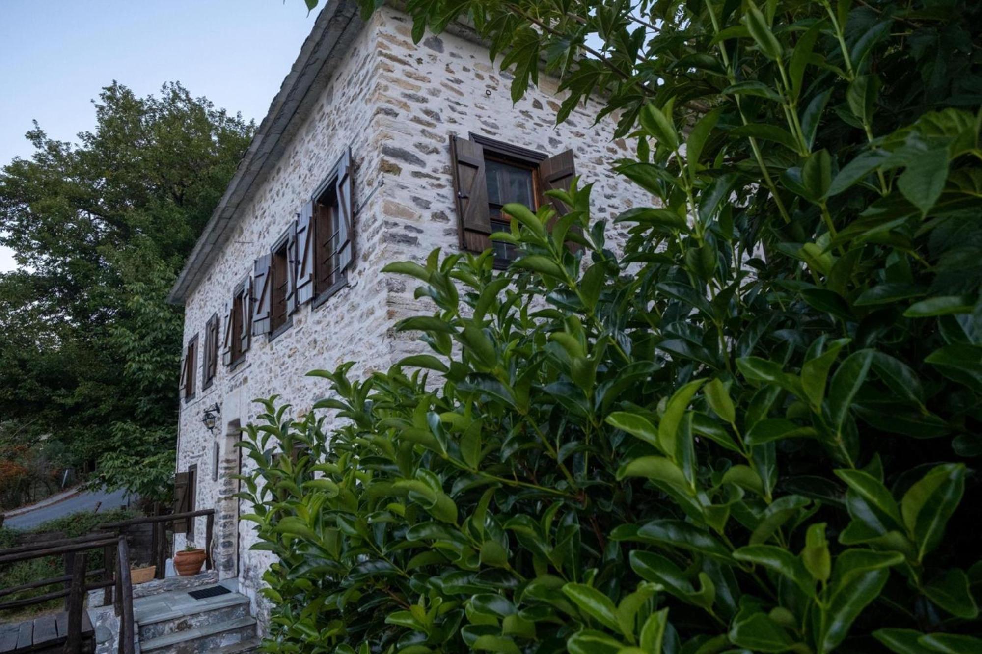 Archontiko Michael Pelion Aparthotel Vizíca Kültér fotó